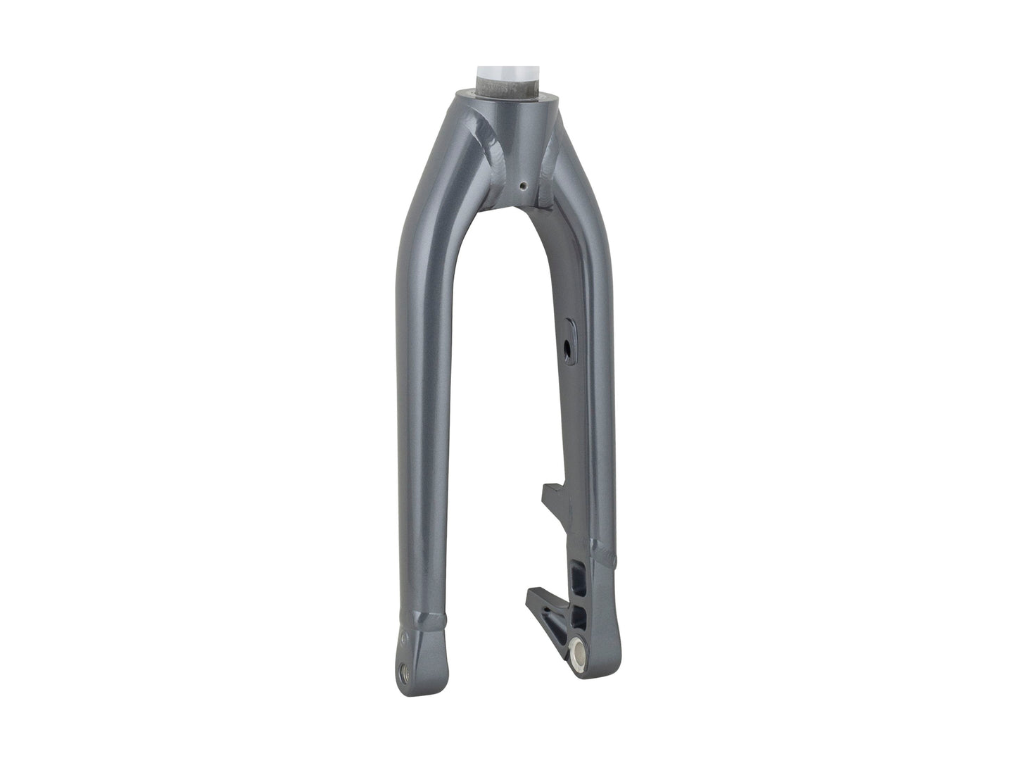 Trek Fetch+ 2 20˝ Rigid Fork