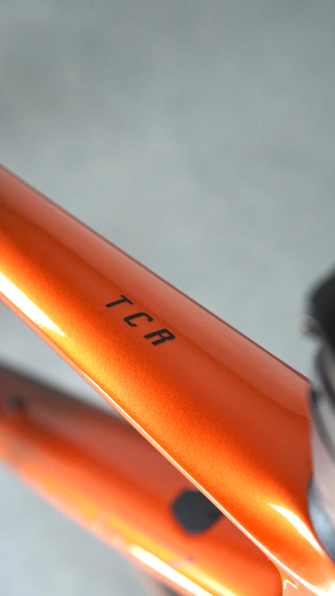 Giant TCR Pro 0 tg ML