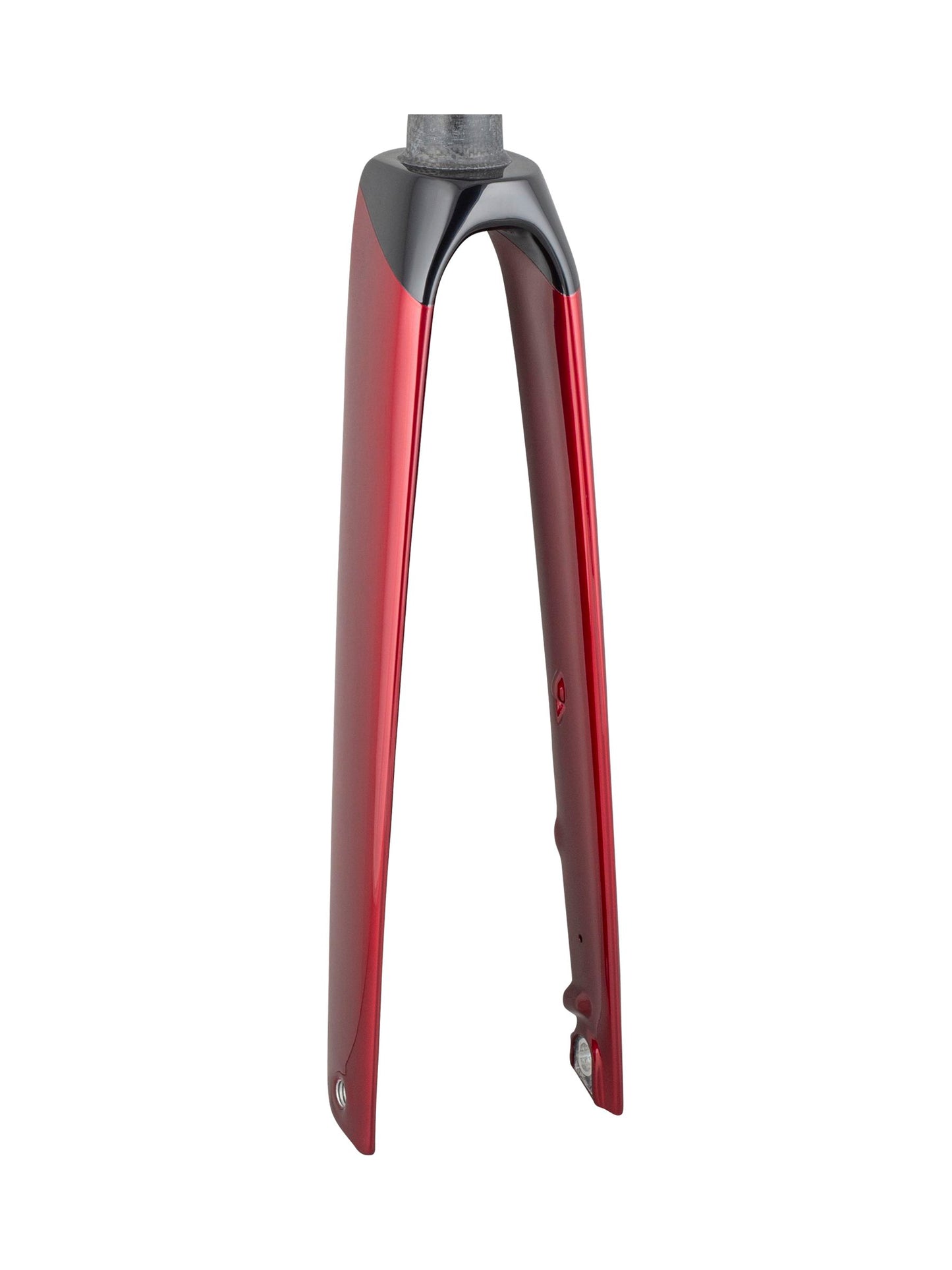 Trek 2021 Madone SLR 700c Rigid Forks