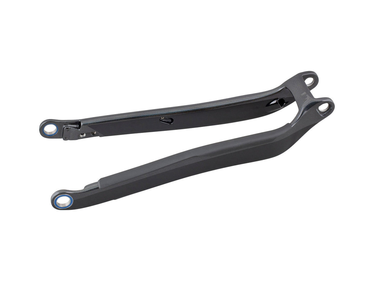 Trek 2020-2023 Rail 29 Carbon Chainstay