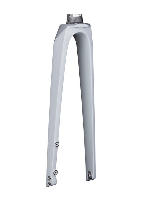 Trek Madone SLR 6 700c Disc Rigid Forks