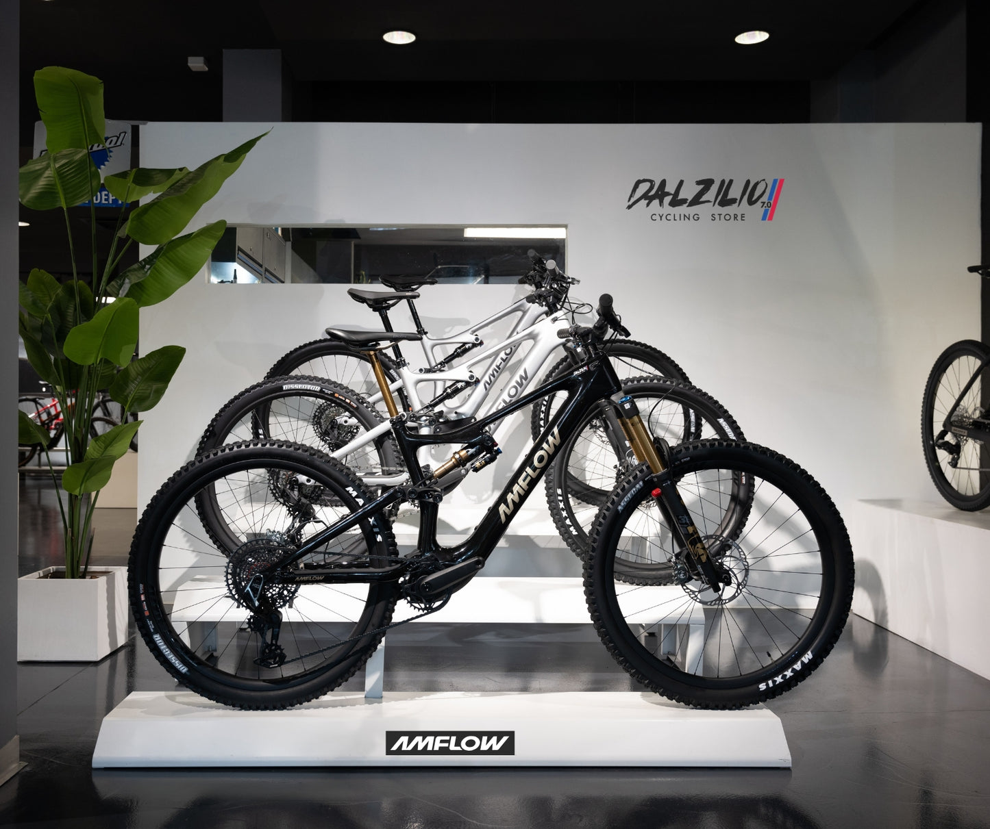 AMFLOW PL Carbon