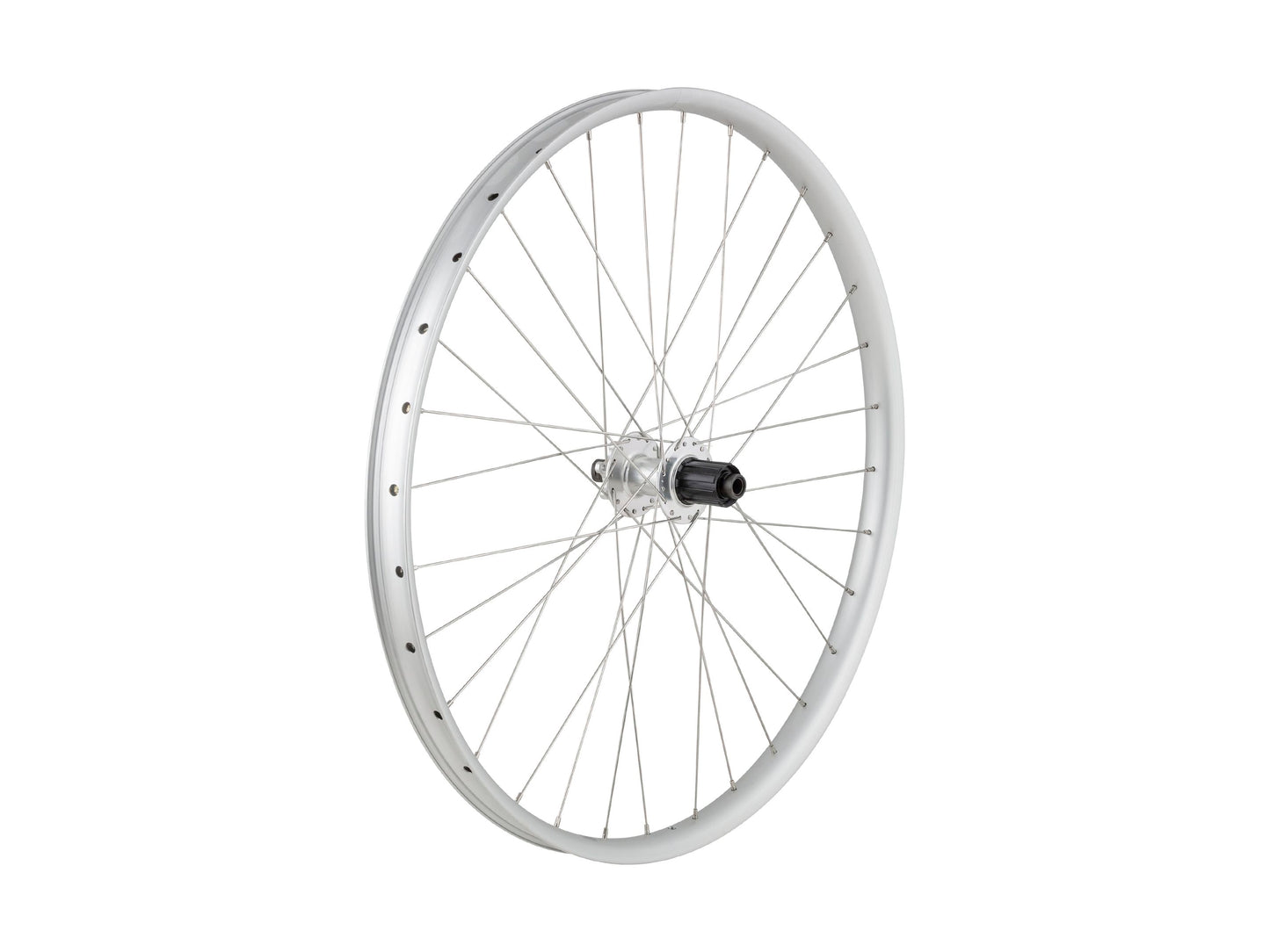 Ruota per Electra Vale Go! EQ
