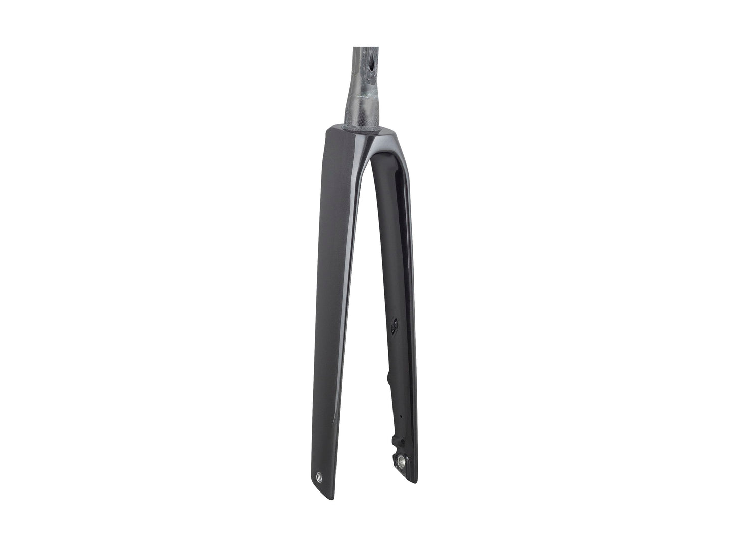 Trek 2023 Madone SL6 Forks