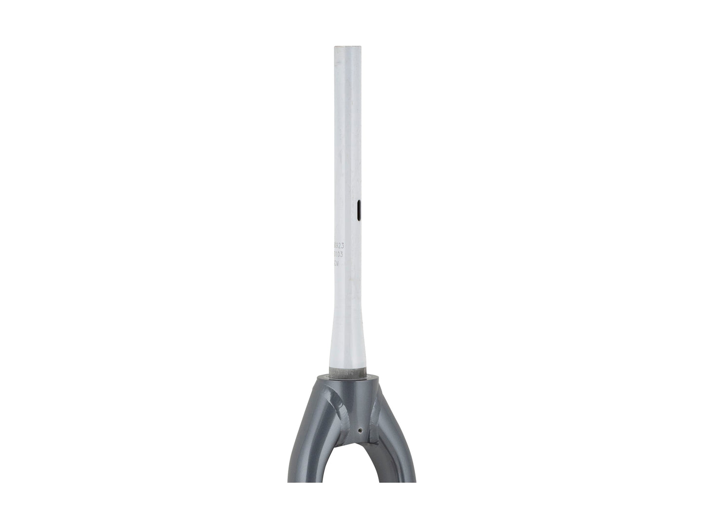 Trek Fetch+ 2 20˝ Rigid Fork