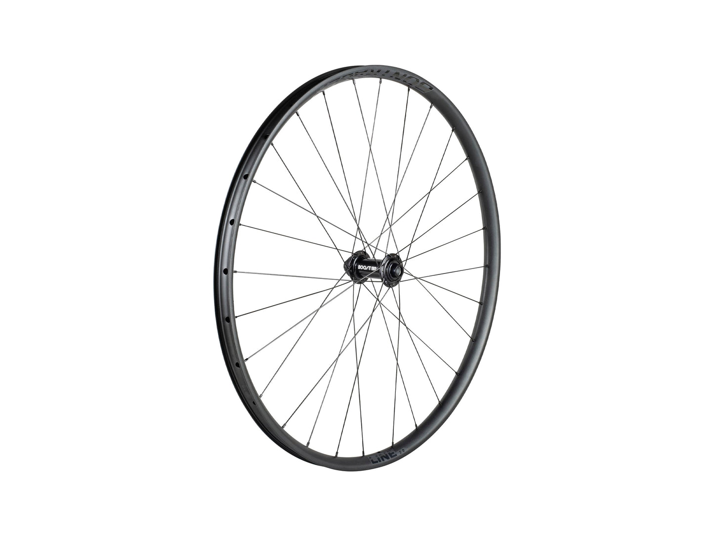 Bontrager Line 30 Centerlock TLR Boost 29˝ MTB Wheel