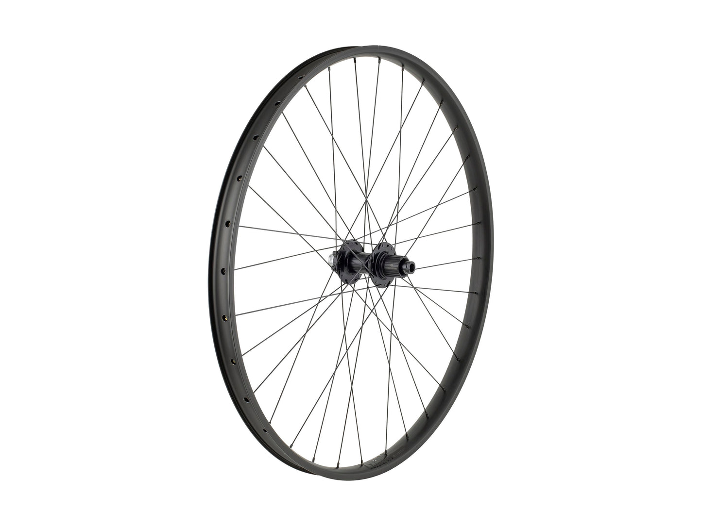 Ruota MTB Trek Alex MD35 Boost 29˝
