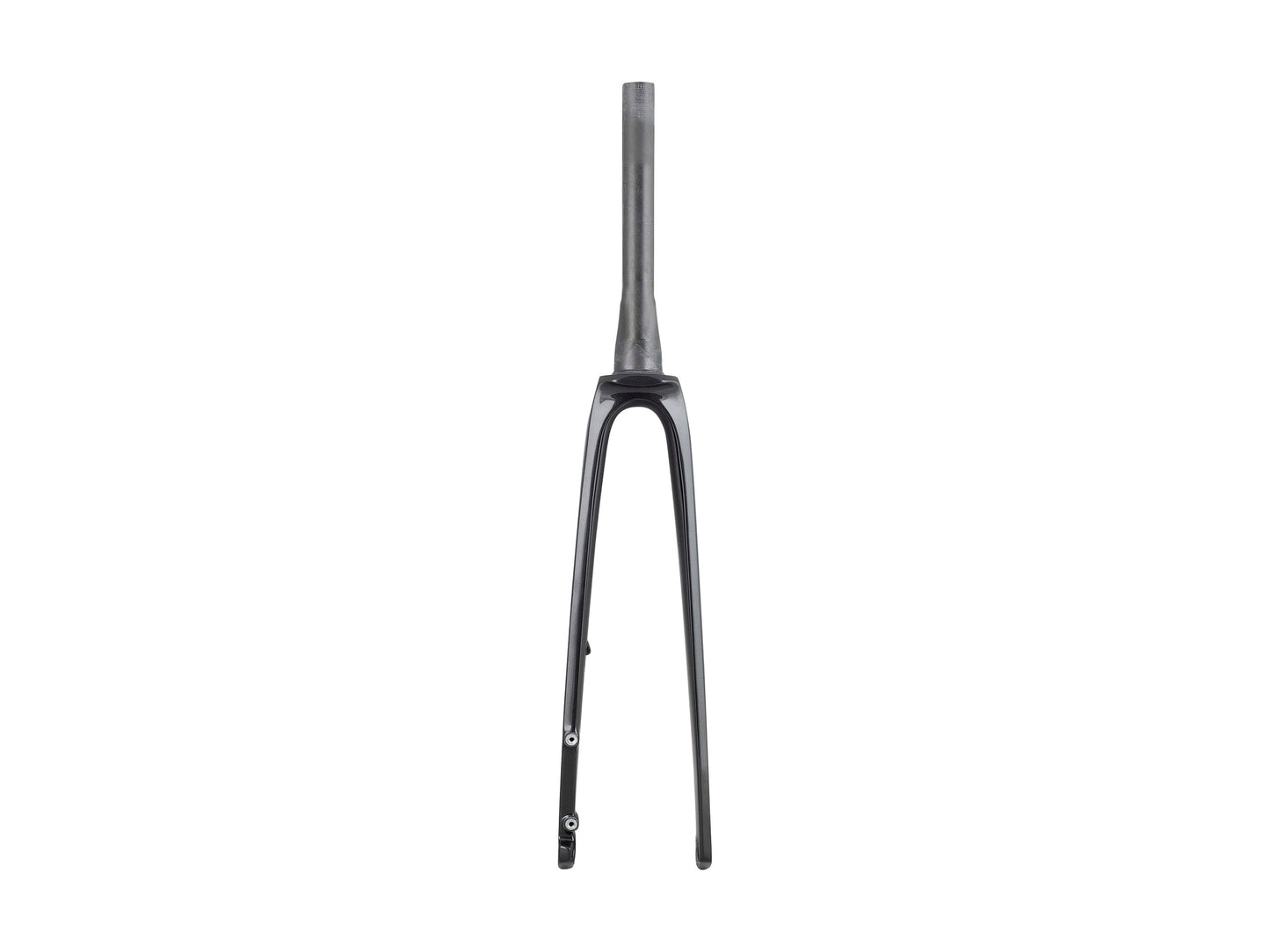 Trek 2023 Madone SL6 Forks