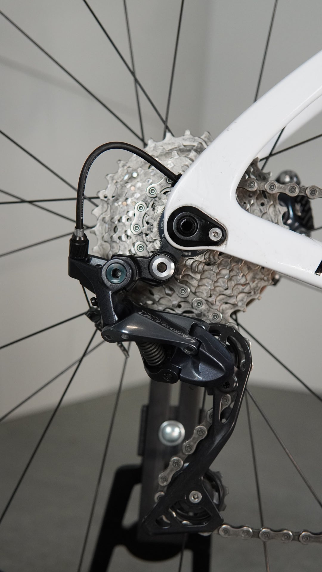 Pinarello Prince disc tg M