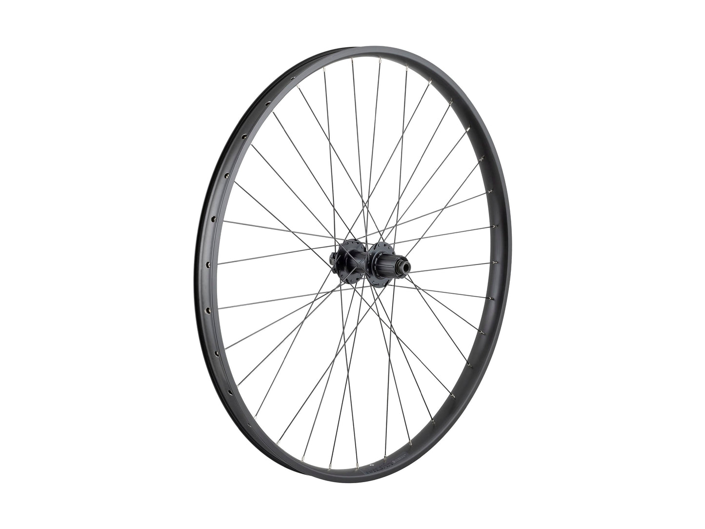 Ruota MTB Trek Alex MD35 Boost 29˝