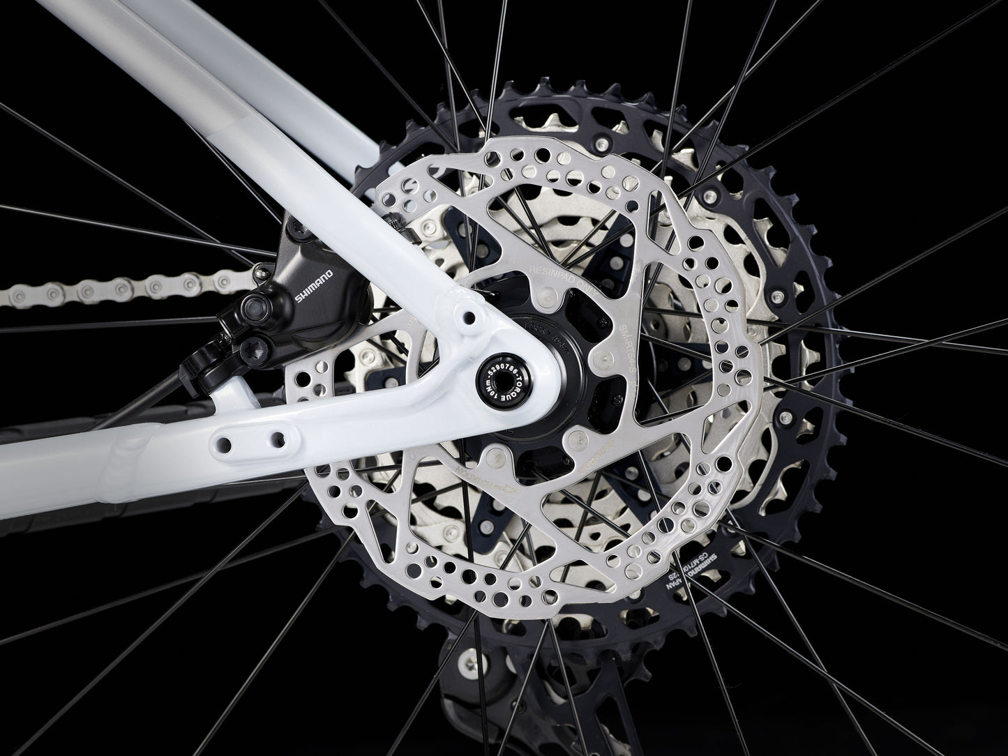 Procaliber 8