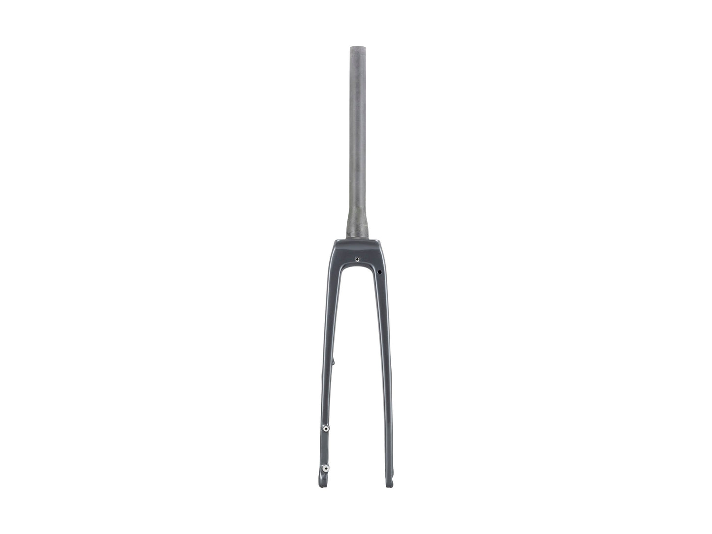 Trek FX Sport Carbon Thru-Skew Forks