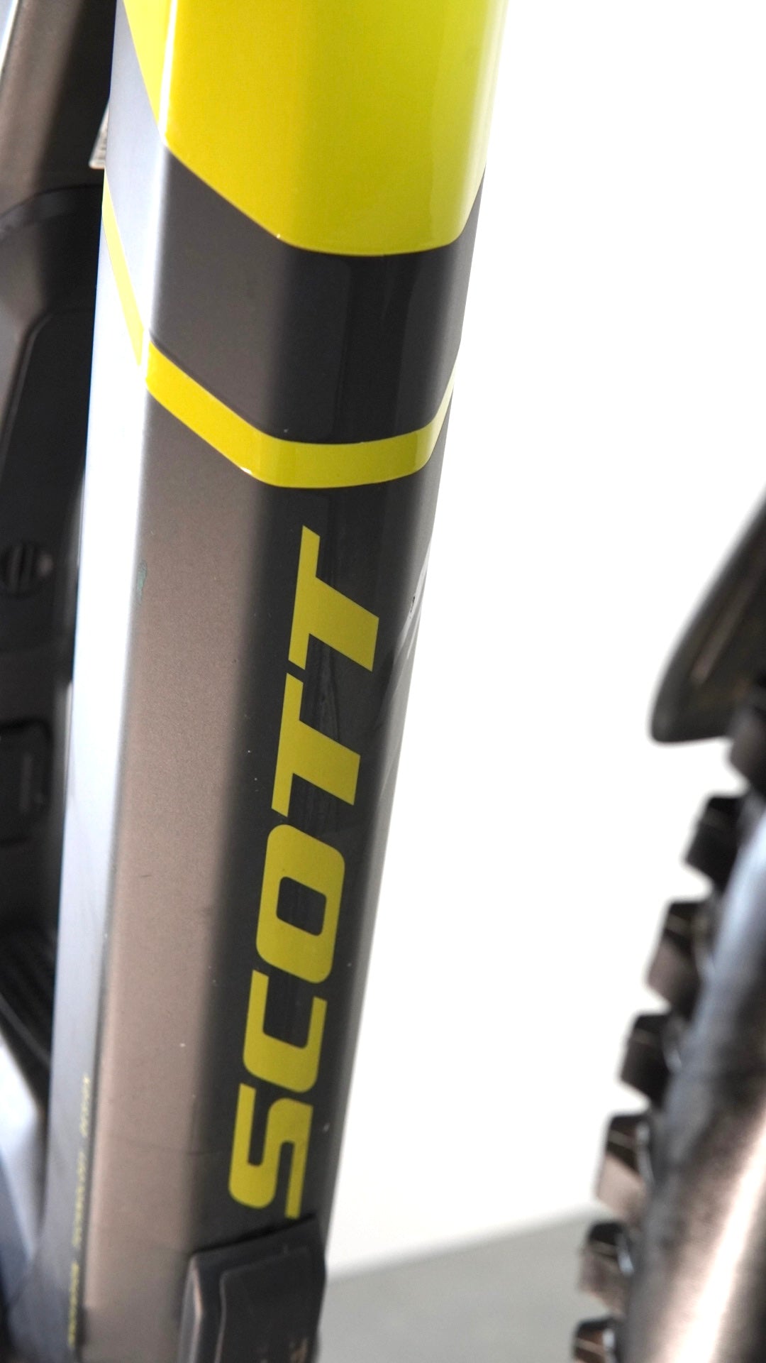 Scott PATRON ST TUNED TR tg L
