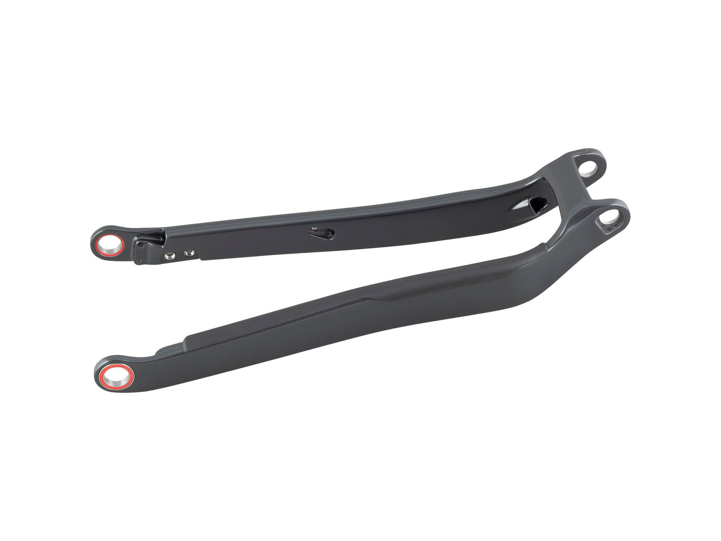 Trek 2020-2023 Rail 29 Carbon Chainstay
