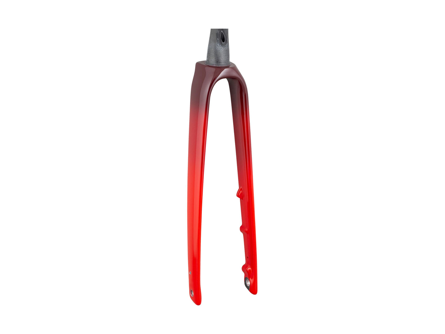 Trek Domane SL 7 Gen 4 700c Rigid Fork