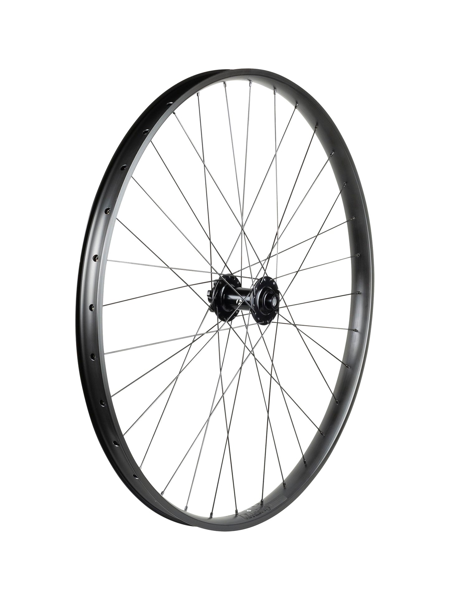 Ruota MTB Trek Alex MD35 Boost 29˝