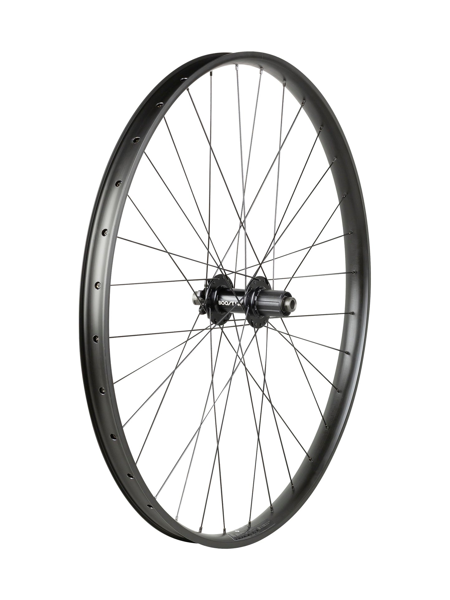 Ruota MTB Trek Alex MD35 Boost 29˝