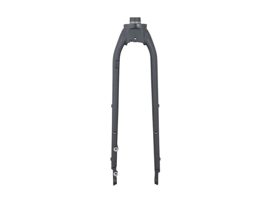 Trek Dual Sport 1 Thru-Axle 29˝ Rigid Fork