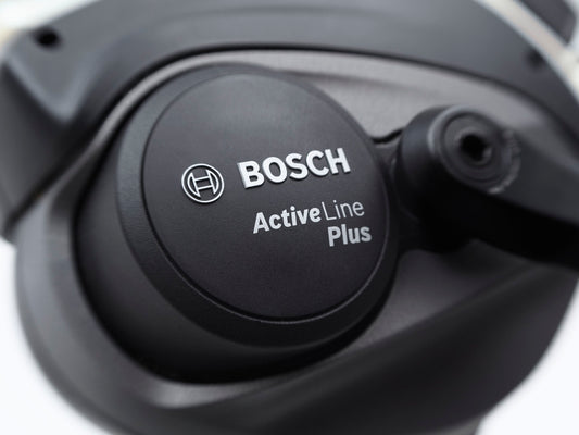 Townie Go! 5i Step-Over