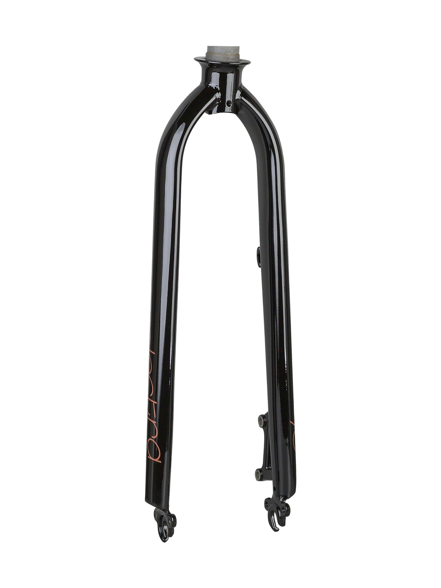 Electra Townie Go! 8i Ladie's Disc Brake Rigid Forks