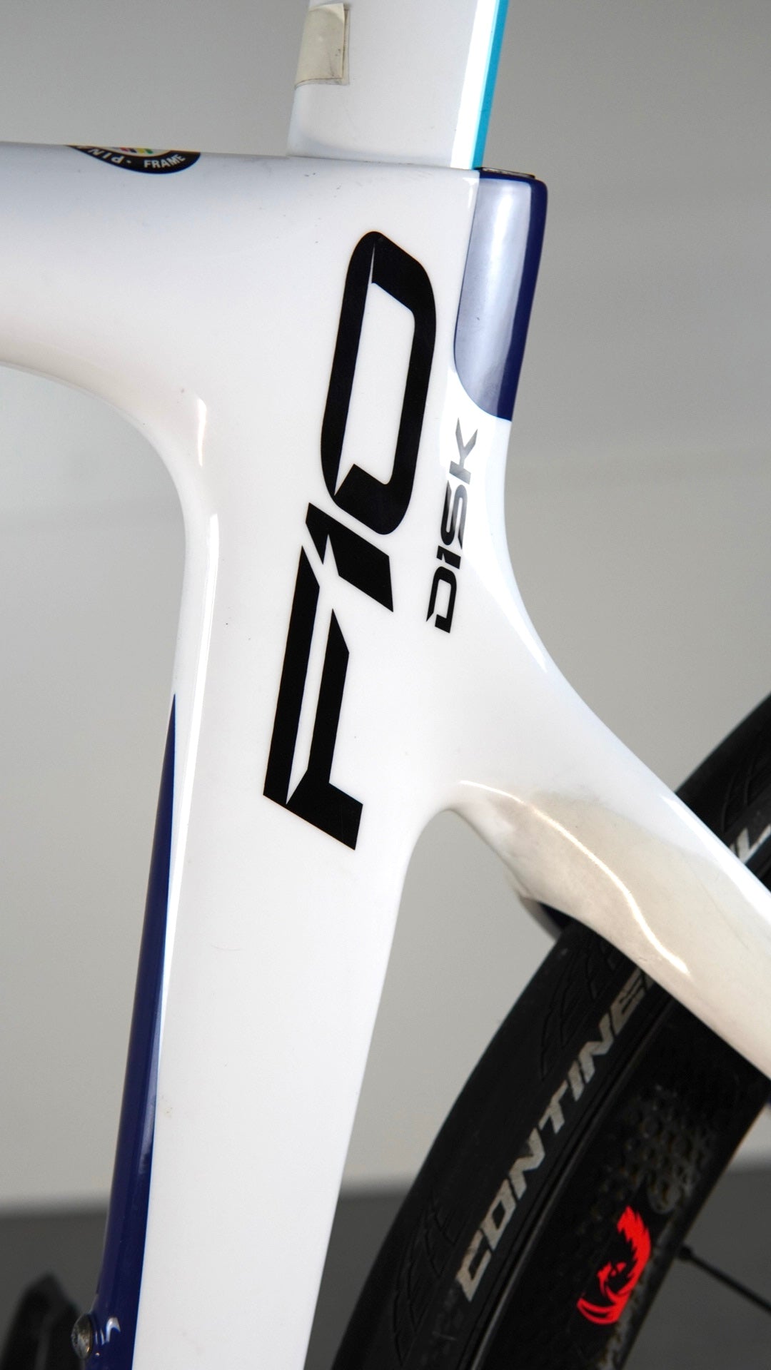 Pinarello DOGMA F10 disc tg 54