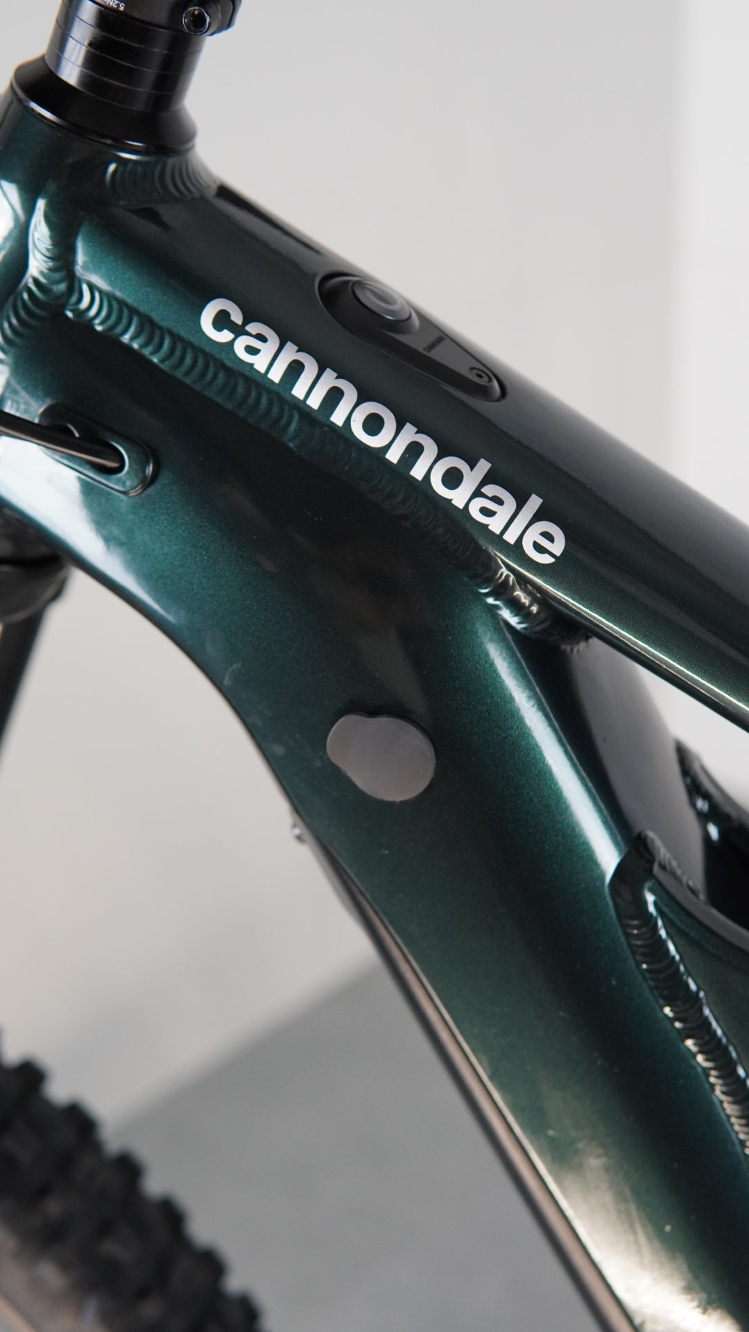 Cannondale Moterra Neo S1 tg M