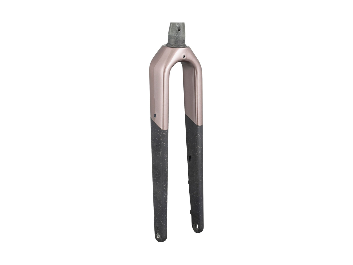 Trek Checkpoint SL Gen 3 700c Rigid Fork