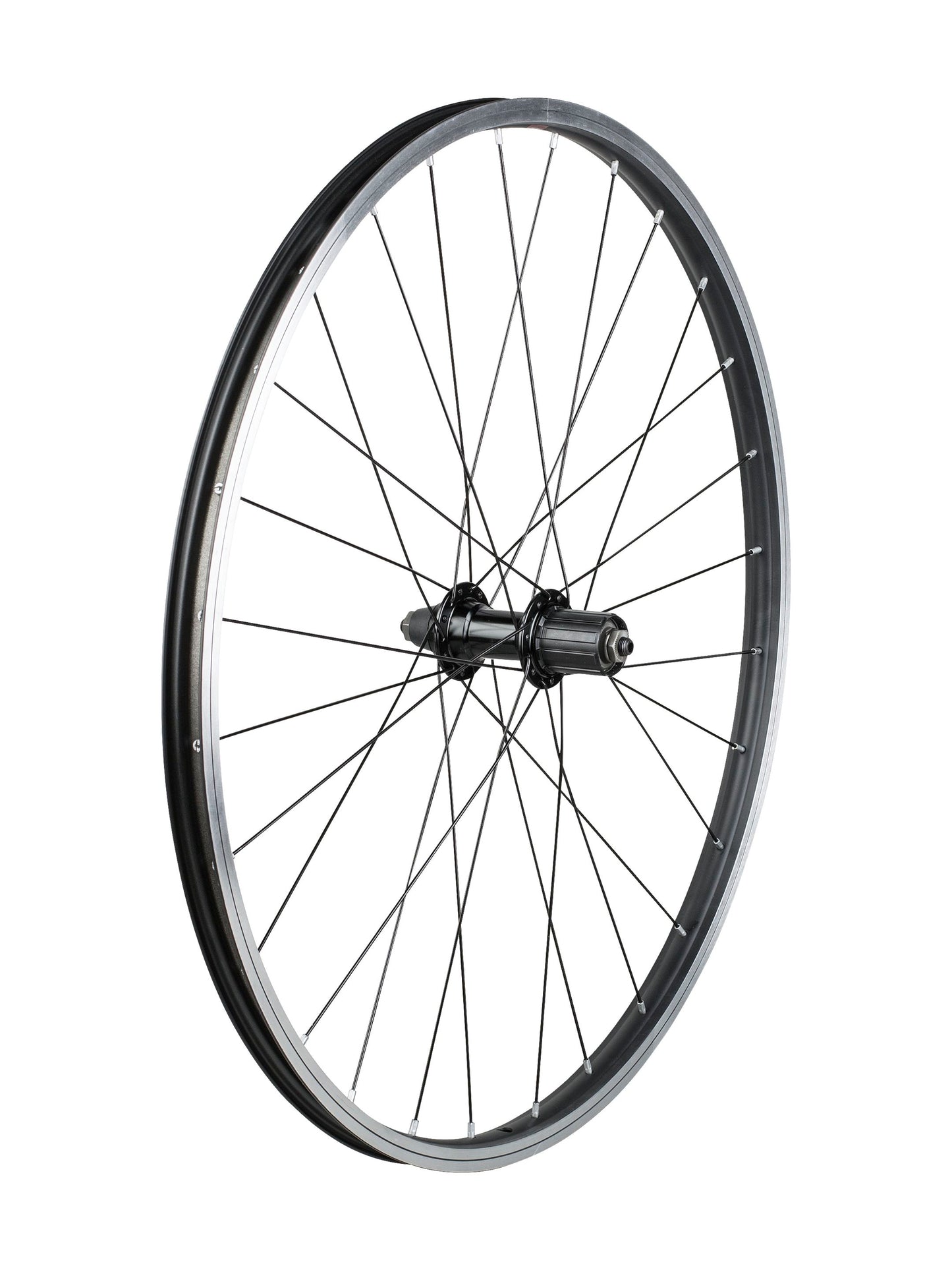 Ruote Trek bambino 26˝