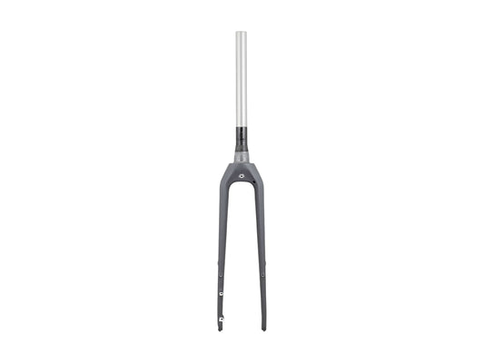 Trek Dual Sport 3 Thru-Axle 29˝ Rigid Fork