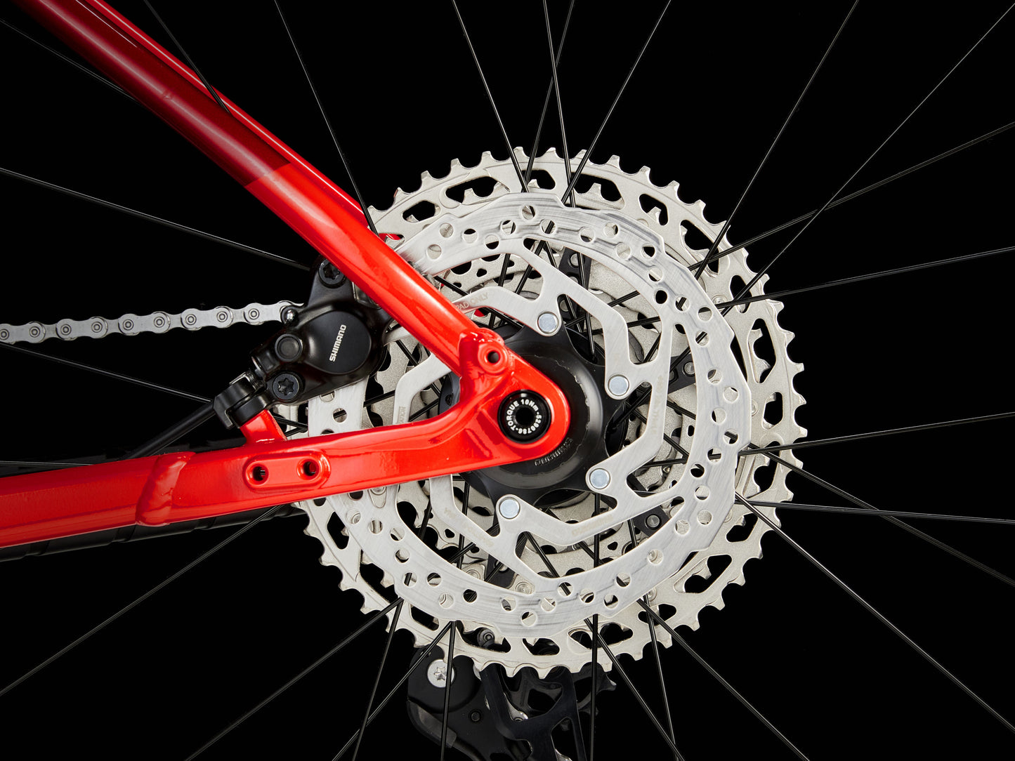 Procaliber 6
