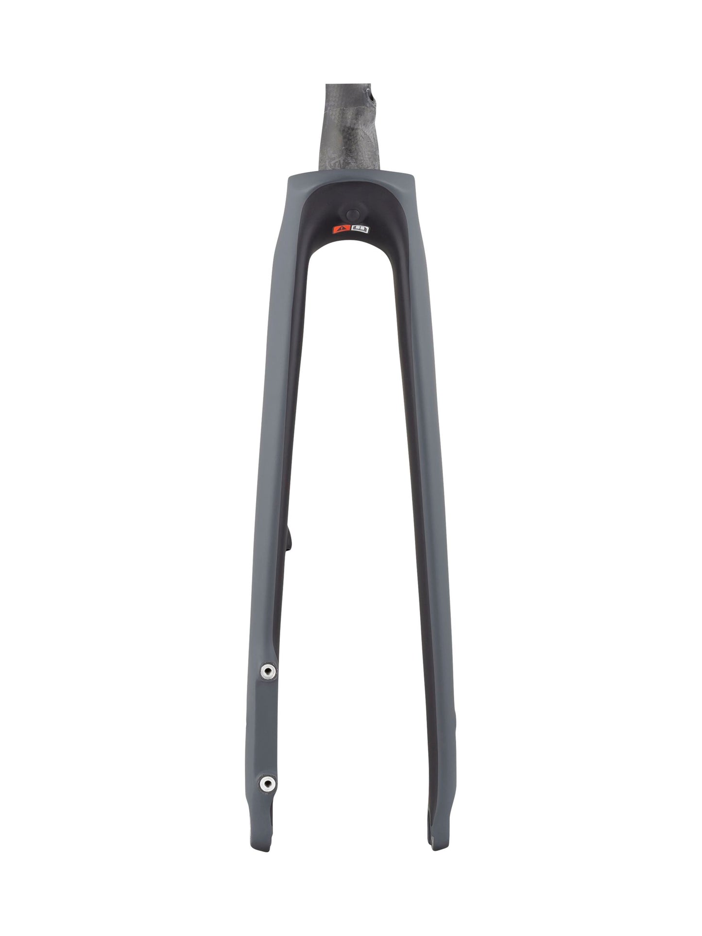 Forcelle Domane+ HP 2020 700C