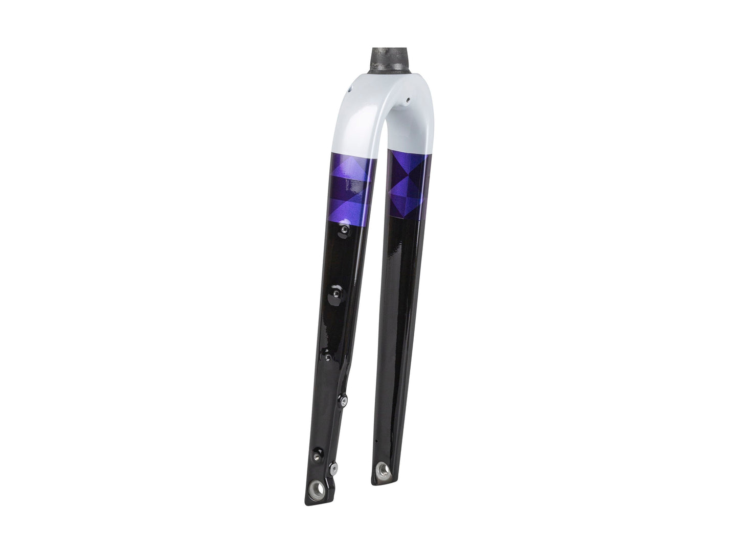 Trek Checkpoint ALR 700c Rigid Fork