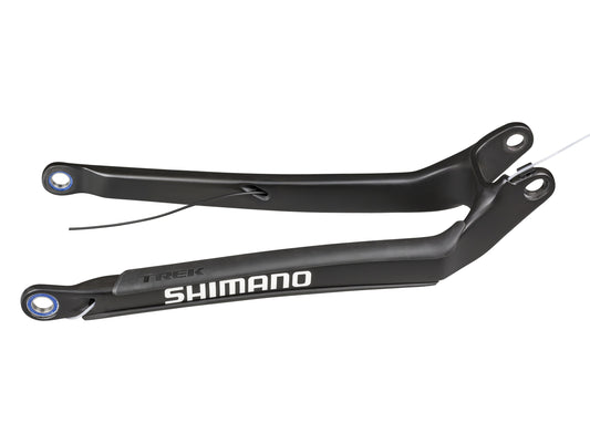 Trek 2018-2021 Session 29 Carbon Chainstay