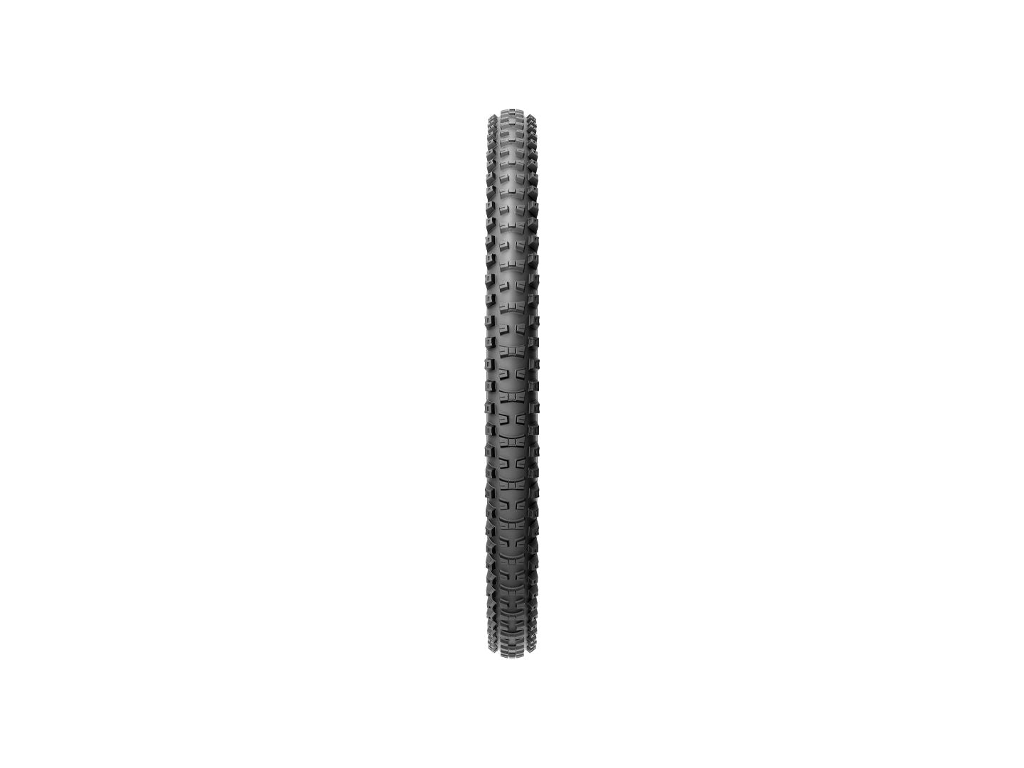 Pirelli Scorpion Race DH T MTB Tire