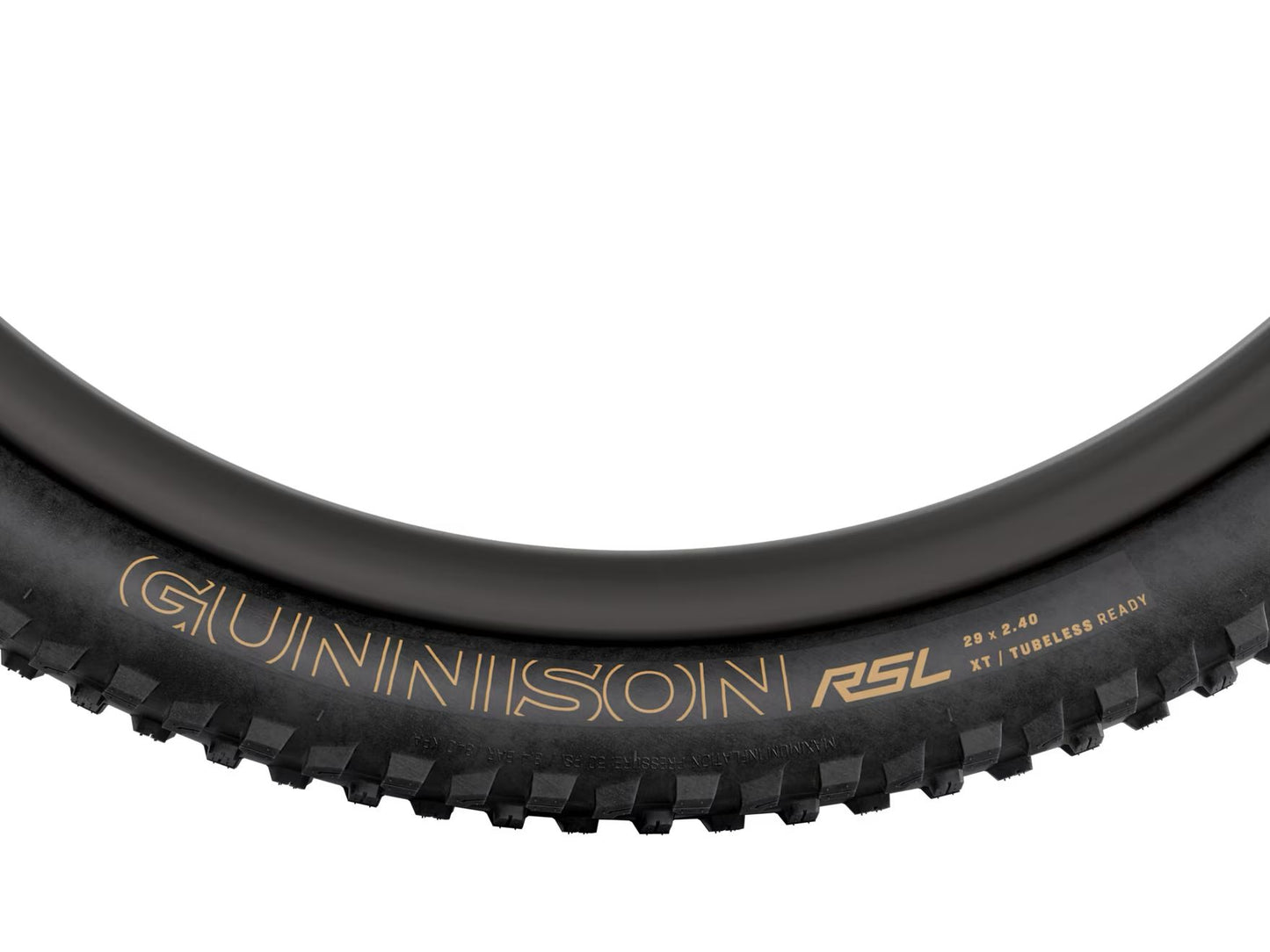 Pneumatico MTB Bontrager Gunnison RSL XT TLR