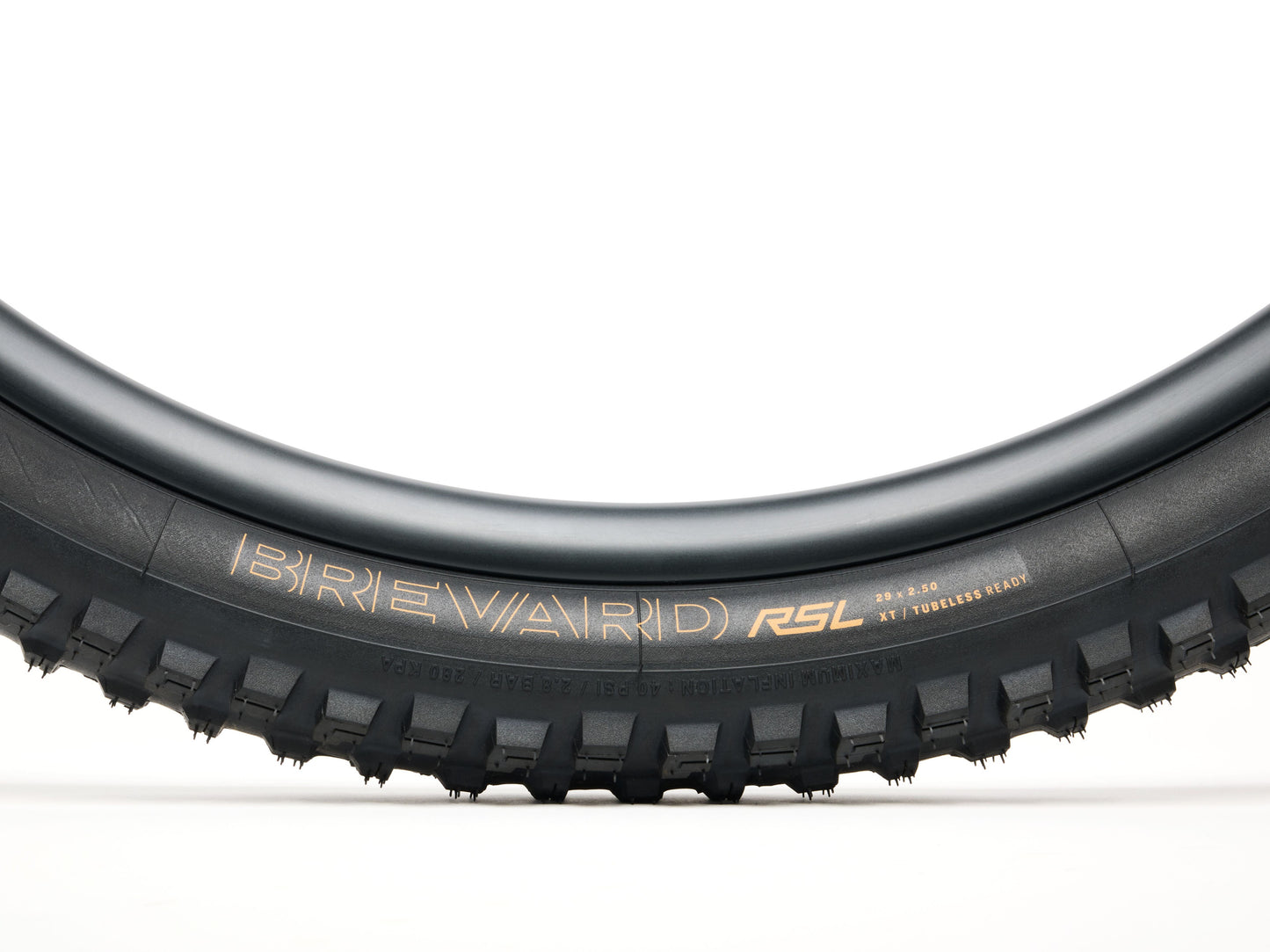Pneumatico MTB Bontrager Brevard RSL XT TLR