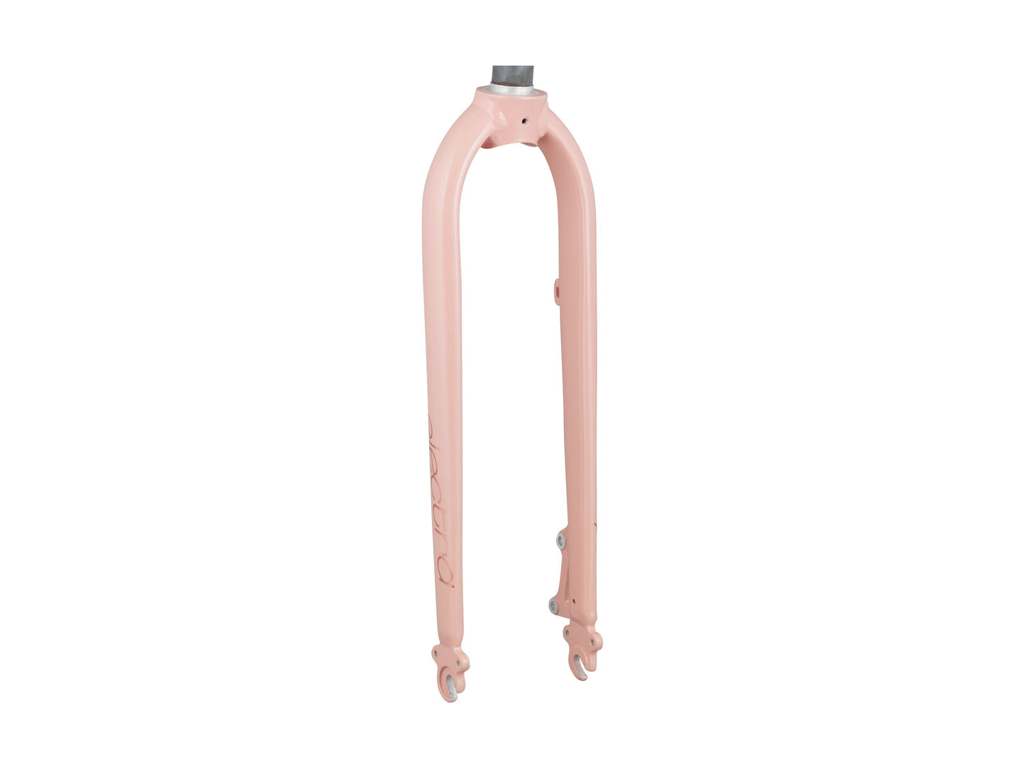 Electra Townie Path Go! Rigid Forks