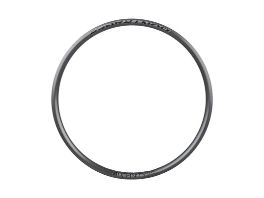 Cerchio Bontrager Affinity Disc TLR 700c