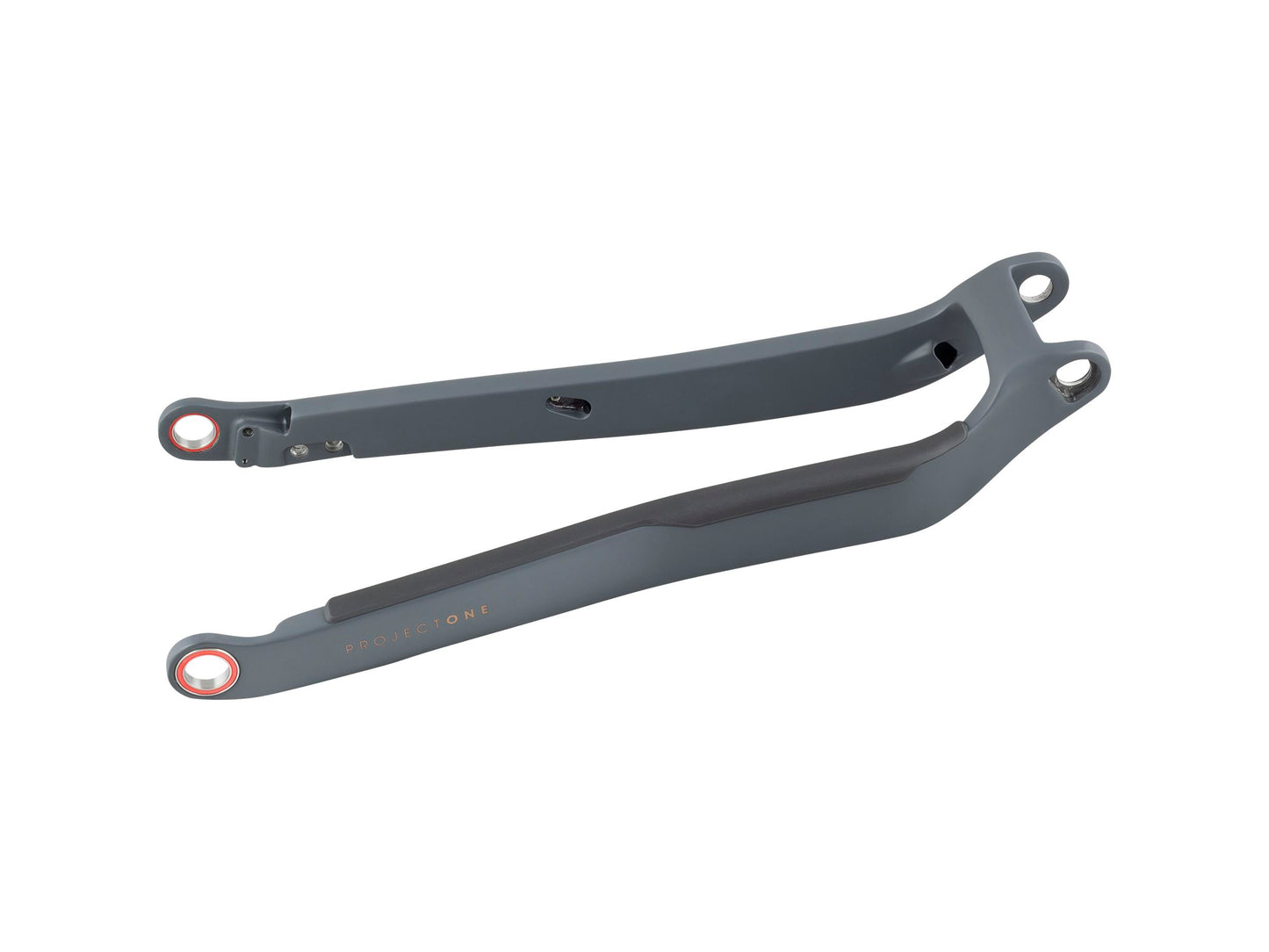 Trek 2020-2023 Rail 29 Carbon Chainstay