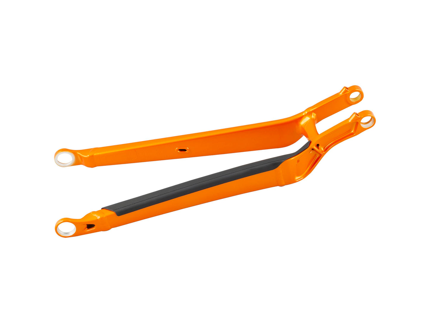 Trek 2020-2021 Top Fuel 29 Aluminum Chainstay
