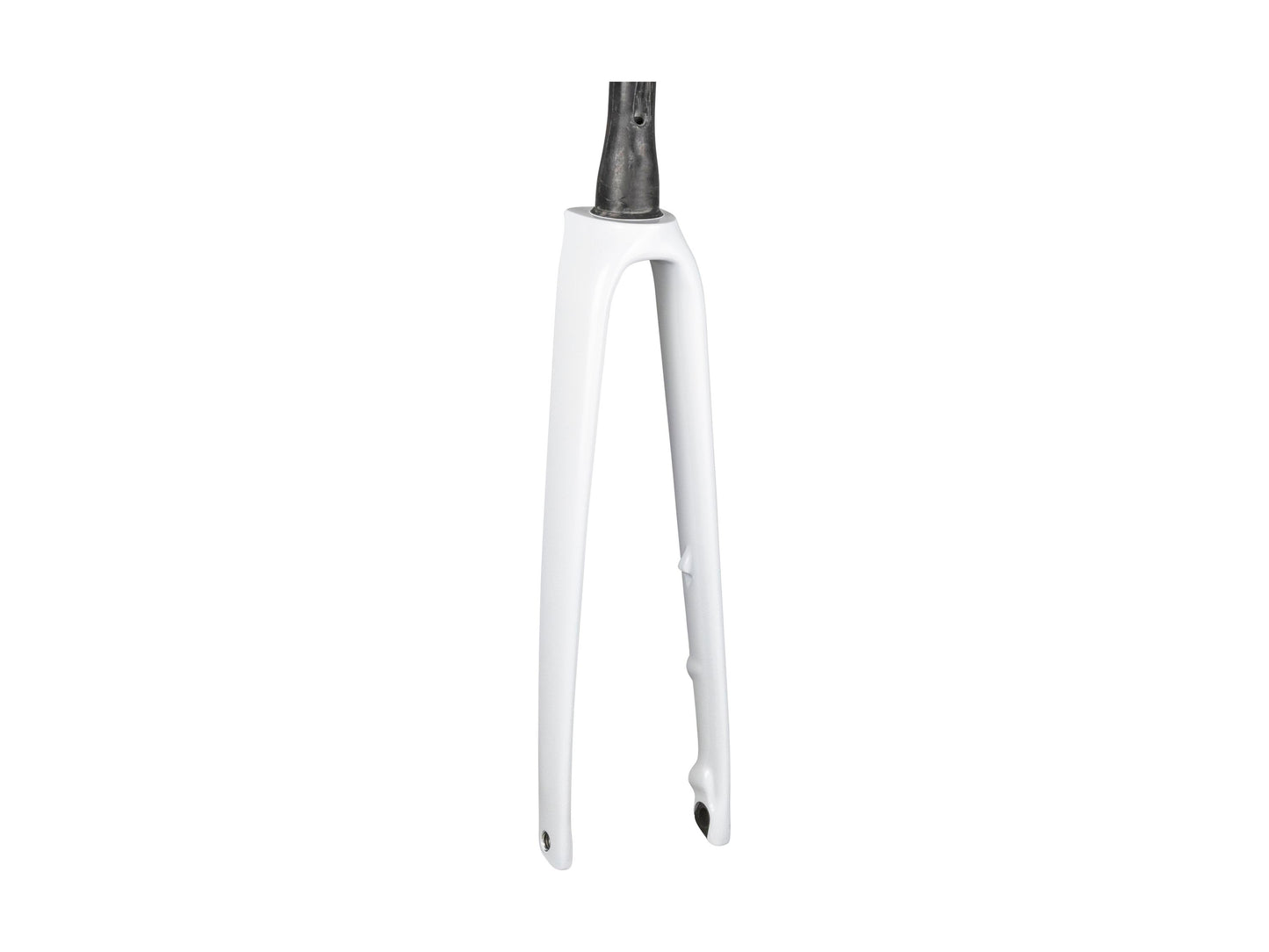 Trek 2024 Emonda SL 700c Rigid Fork
