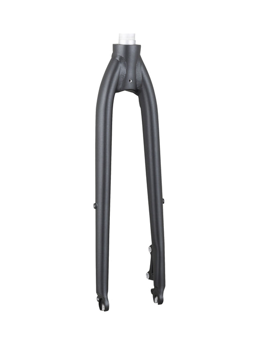 Trek-Diamant 2020 L500 700c Rigid Fork