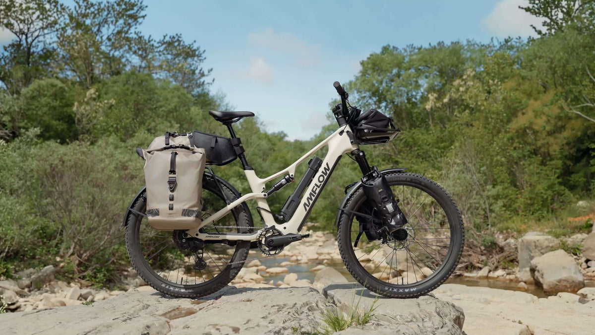 Amflow TL Carbon con borse da viaggio