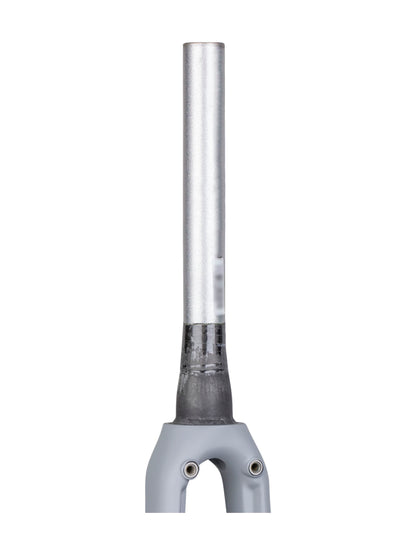 Trek 2019 Emonda ALR 700c Fork