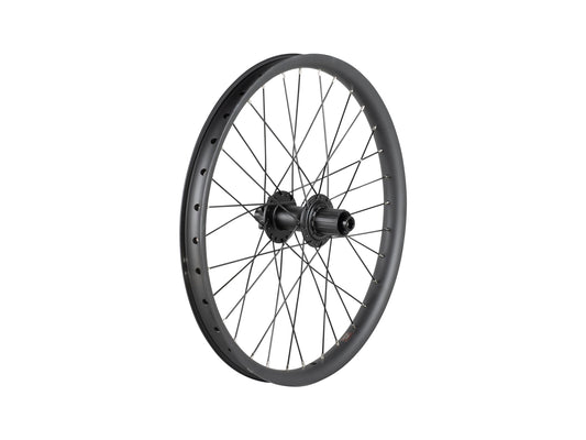 Trek Cargo Bike 6-Bolt Disc 20˝ Wheel