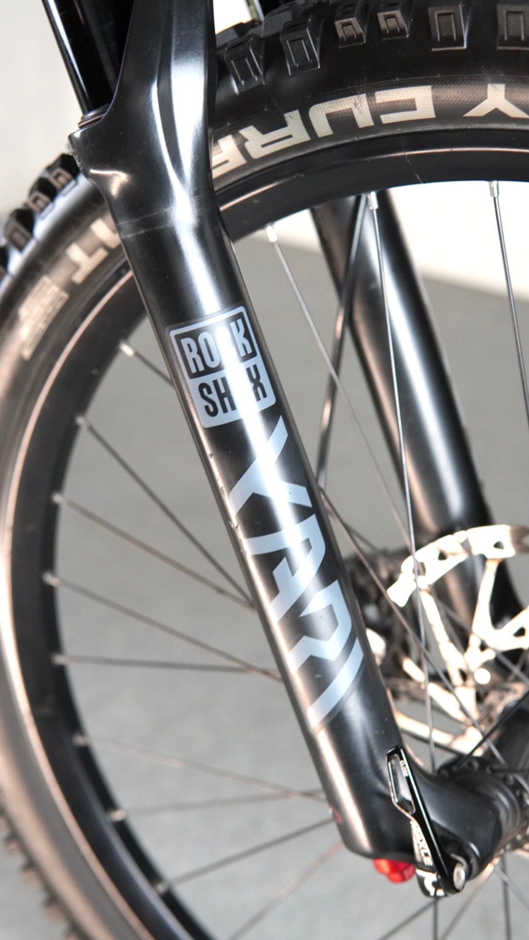 Ebike Sants tg L