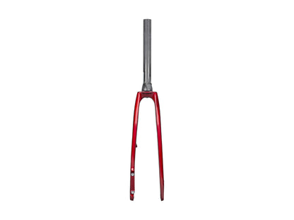 Trek 2022 Domane SL 5 Forks