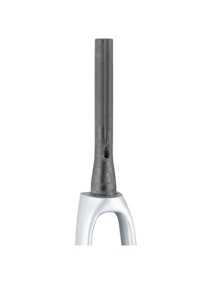Trek 2021 Emonda SL 700c Rigid Forks