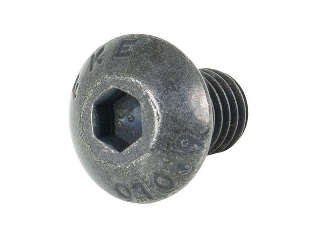 Trek M5x0.8 Water Bottle Cage Bolts Button Head Cap
