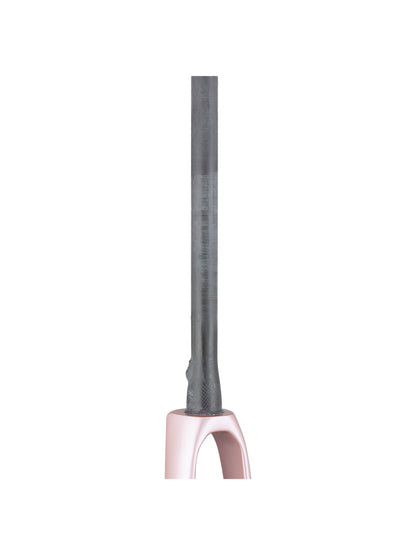 Trek 2021 Domane SLR 700c Rigid Forks